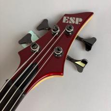 ESP FOREST-STD_4