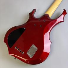ESP FOREST-STD_5