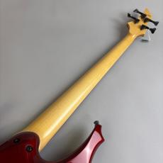 ESP FOREST-STD_7