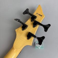 ESP FOREST-STD_8