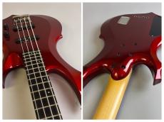 ESP FOREST-STD_9