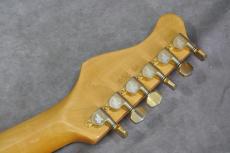 Valley Arts “M Series” Stratocaster Type 3S 【ウェザーチェックあり!】_9