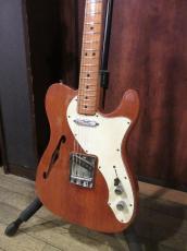 Fender 1969 Fender Telecaster Thinline "Mahogany Body"_2