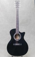 Martin CTM GPC STYLE41 SGZ / 2018_2