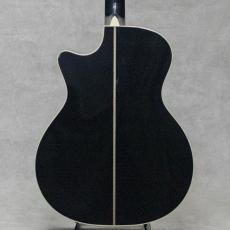 Martin CTM GPC STYLE41 SGZ / 2018_3