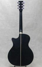 Martin CTM GPC STYLE41 SGZ / 2018_4
