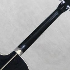 Martin CTM GPC STYLE41 SGZ / 2018_8