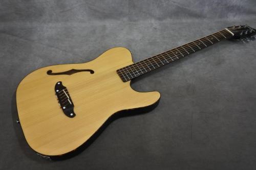 SCHECTER  OL-FL SNTL 【テレキャスターシェイプのエレアコ】