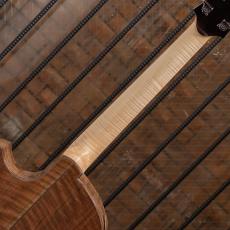 Fujii Guitars Archtop 16 Prototype Spruce / Black Walnut_8