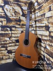 Orpheus Valley Guitars オルフェウス・ヴァレー・ギターズ Model:Solea SA-C 杉・ココボロ【日本総本店2F在庫品】