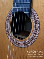 Orpheus Valley Guitars オルフェウス・ヴァレー・ギターズ Model:Solea SA-C 杉・ココボロ【日本総本店2F在庫品】_3