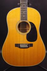 Martin D12-35