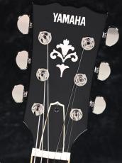 YAMAHA SG1802 -Black-【日本製】【Made in Japan】_6