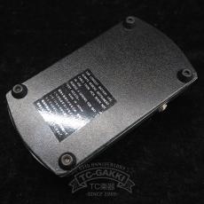 Roland AF-60 BeeGee_3