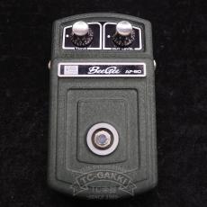 Roland AF-60 BeeGee_4