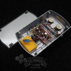 Roland AF-60 BeeGee_6