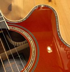 Takamine 2026年製　匠TAKUMI  ~Antique Nutmeg~   【無金利分割OK】【送料込み】_6