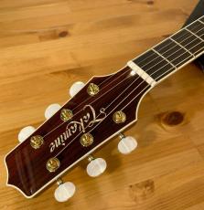 Takamine 2026年製　匠TAKUMI  ~Antique Nutmeg~   【無金利分割OK】【送料込み】_8