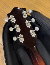 Guild T-50 SLIM_6