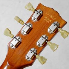 Gibson 1973 Les Paul Deluxe Gold Top_8