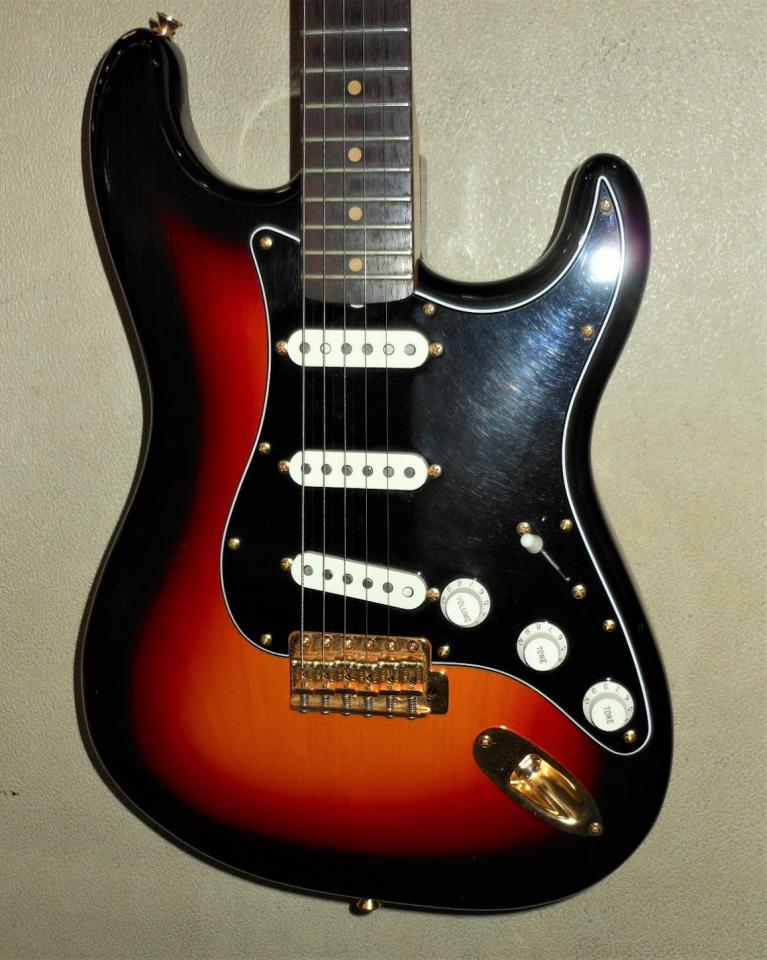 ギター Vanzandt STV-R2 VanZandt STV-R2 ヴァンザント 【 イオンモール日吉津店