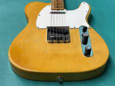 Fender TELECASTER BLD/M_9
