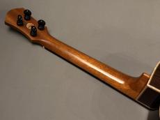 aNueNue BlackWhale Tenor KYAS MODEL【USED】_7