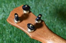 Antar Small Tenor Honduras Mahogany×walnut #205278_6