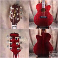 Takamine 1982年製 PT-015-ST_2