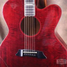 Takamine 1982年製 PT-015-ST_6