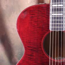 Takamine 1982年製 PT-015-ST_7