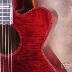 Takamine 1982年製 PT-015-ST_8