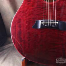 Takamine 1982年製 PT-015-ST_10