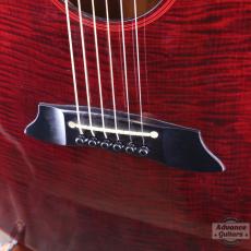 Takamine 1982年製 PT-015-ST_13