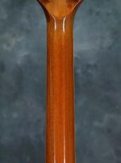 Gibson 1973 Les Paul Deluxe Gold Top_12