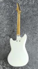 infinite Trad MG  / Woodstock White [3.30kg]【サウンドメッセ出展品】_7