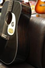 Headway HD-V115ASE/AGED CBK【NEW】【ドレッドノートタイプ】【サンプル画像】_10