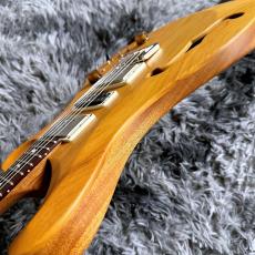 Paul Reed Smith [PRS] S2 Special Semi-Hollow Reclaimed Limited Edition Natural 【中古】【美品】【2025年製】_9