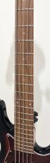 Sadowsky MetroExpress 22-Fret Will Lee Artist Line Bass 5-String Japan Limited Color Tobacco Sunburst_4
