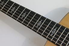 Taylor Gold Label 814e_6