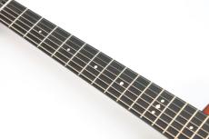 Taylor Gold Label 717e / SB_7