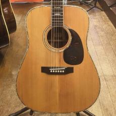 Jagard JD-800