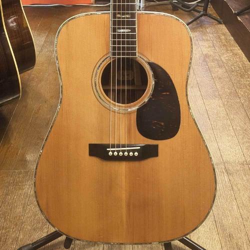Jagard JD-800