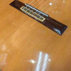 YAMAHA GC-5_5