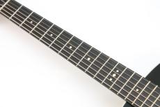 Taylor Gold Label 714e_6