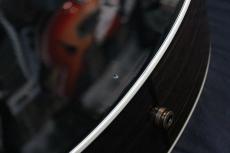 Taylor Gold Label 714e_10