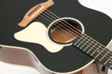 Taylor Gold Label 517e / Blacktop_2