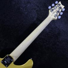 Paul Reed Smith [PRS] 【限定カラー】SE SILVER SKY -Gold Spark- #CTI H077763【3.41kg】【2025】_10