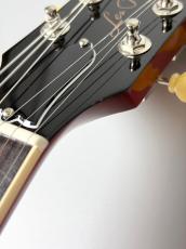 Gibson Warren Haynes Les Paul Standard #229740172 【4.56kg】_8