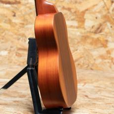 KoAloha KTM-D6 D-VI Tenor 6 Strings 2011_5